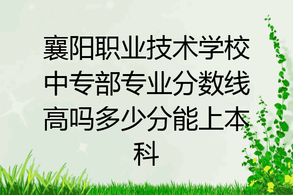 襄阳职业技术学校中专部专业分数线高吗多少分能上本科