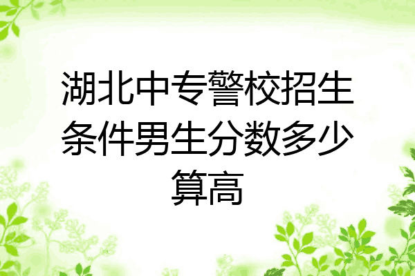 湖北中专警校招生条件男生分数多少算高