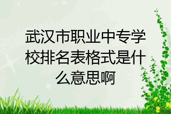 武汉市职业中专学校排名表格式是什么意思啊