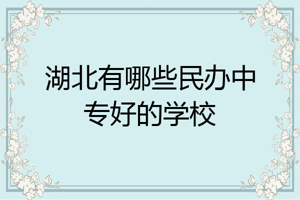湖北有哪些民办中专好的学校