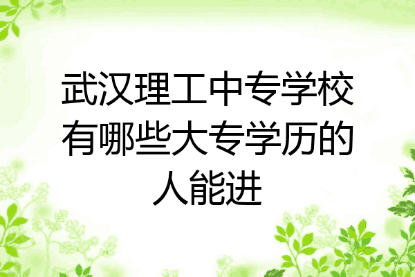 武汉理工中专学校有哪些大专学历的人能进