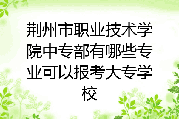 荆州市职业技术学院中专部有哪些专业可以报考大专学校