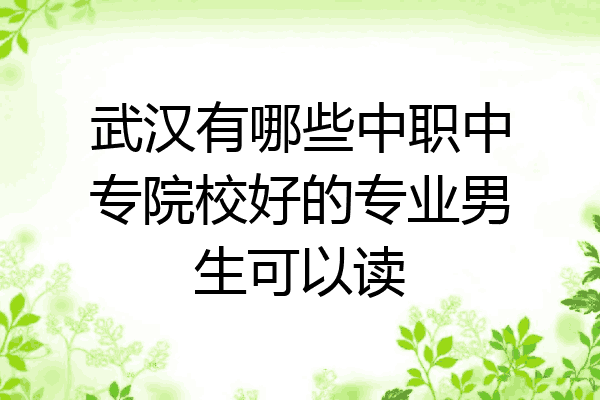 武汉有哪些中职中专院校好的专业男生可以读