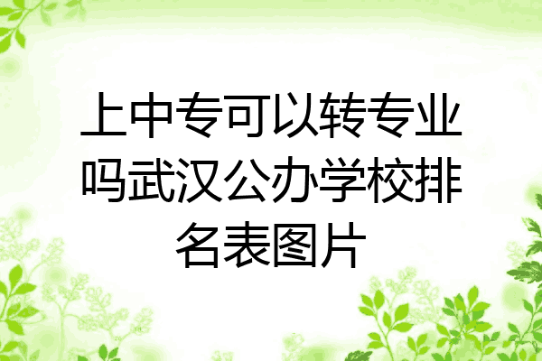 上中专可以转专业吗武汉公办学校排名表图片