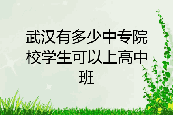 武汉有多少中专院校学生可以上高中班