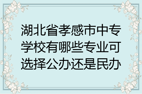 湖北省孝感市中专学校有哪些专业可选择公办还是民办