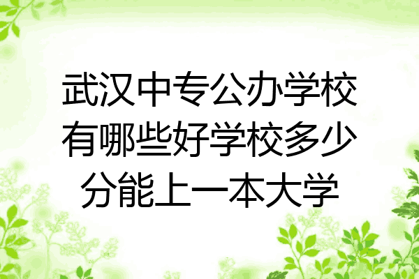 武汉中专公办学校有哪些好学校多少分能上一本大学