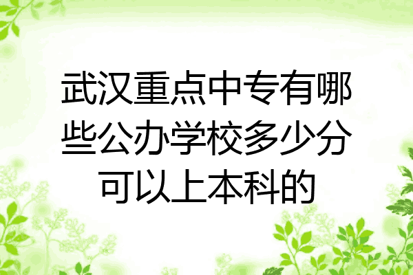 武汉重点中专有哪些公办学校多少分可以上本科的