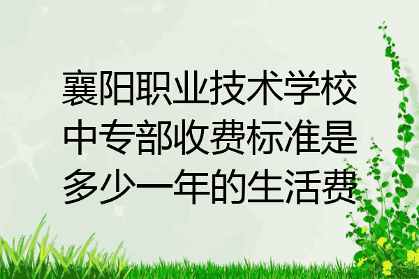 襄阳职业技术学校中专部收费标准是多少一年的生活费