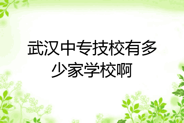 武汉中专技校有多少家学校啊
