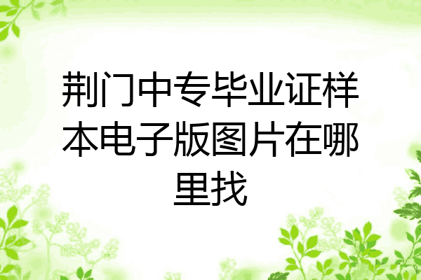 荆门中专毕业证样本电子版图片在哪里找