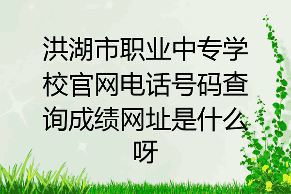 洪湖市职业中专学校官网电话号码查询成绩网址是什么呀