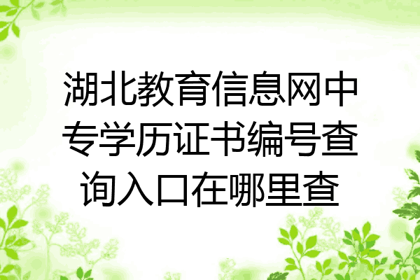 湖北教育信息网中专学历证书编号查询入口在哪里查