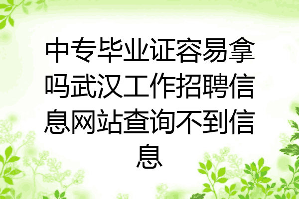 中专毕业证容易拿吗武汉工作招聘信息网站查询不到信息