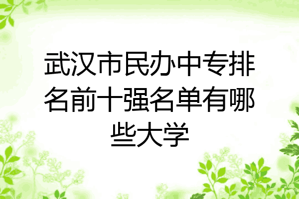 武汉市民办中专排名前十强名单有哪些大学