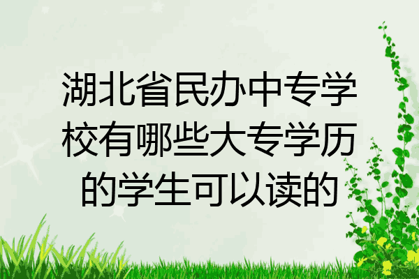 湖北省民办中专学校有哪些大专学历的学生可以读的
