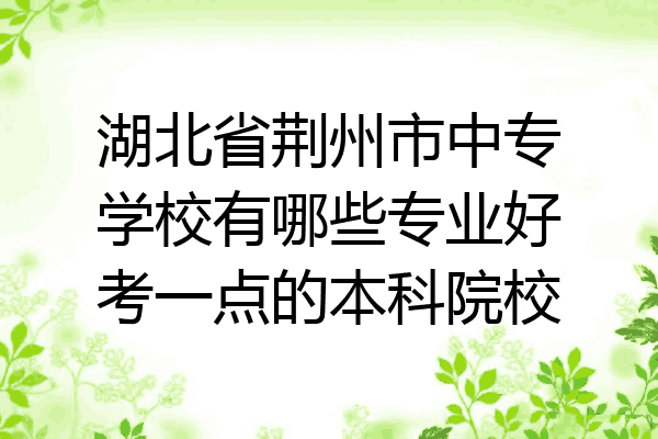 湖北省荆州市中专学校有哪些专业好考一点的本科院校