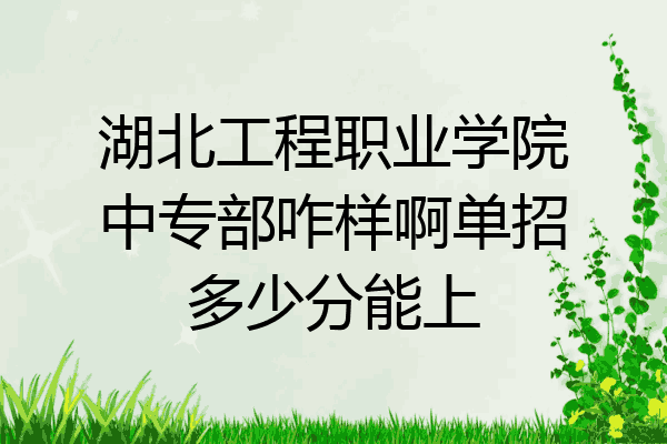 湖北工程职业学院中专部咋样啊单招多少分能上