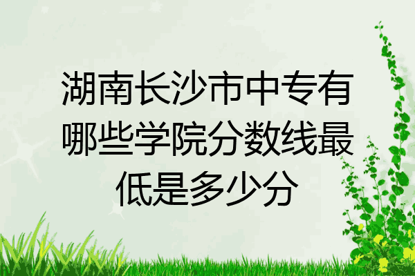 湖南长沙市中专有哪些学院分数线最低是多少分