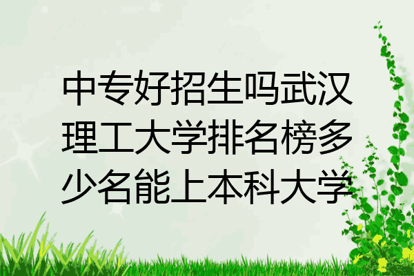 中专好招生吗武汉理工大学排名榜多少名能上本科大学