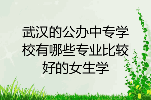 武汉的公办中专学校有哪些专业比较好的女生学