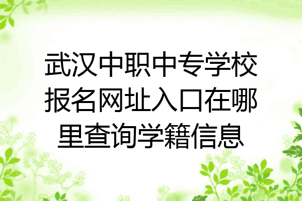 武汉中职中专学校报名网址入口在哪里查询学籍信息