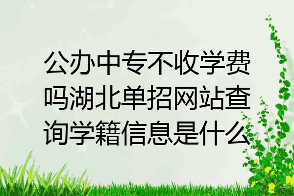 公办中专不收学费吗湖北单招网站查询学籍信息是什么