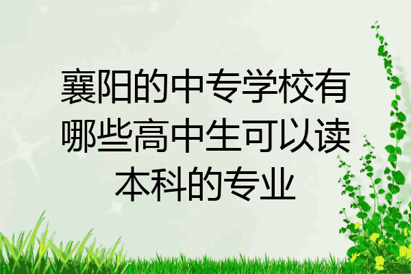 襄阳的中专学校有哪些高中生可以读本科的专业