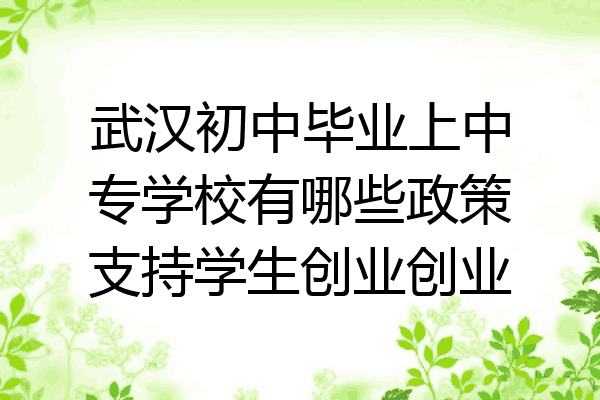 武汉初中毕业上中专学校有哪些政策支持学生创业创业