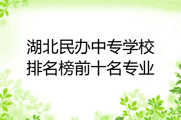 湖北民办中专学校排名榜前十名专业