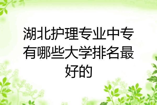 湖北护理专业中专有哪些大学排名最好的