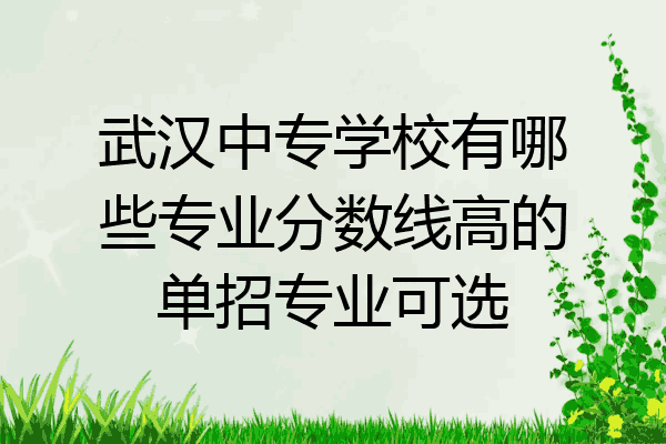 武汉中专学校有哪些专业分数线高的单招专业可选