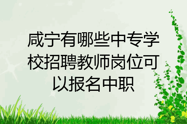 咸宁有哪些中专学校招聘教师岗位可以报名中职