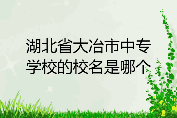 湖北省大冶市中专学校的校名是哪个