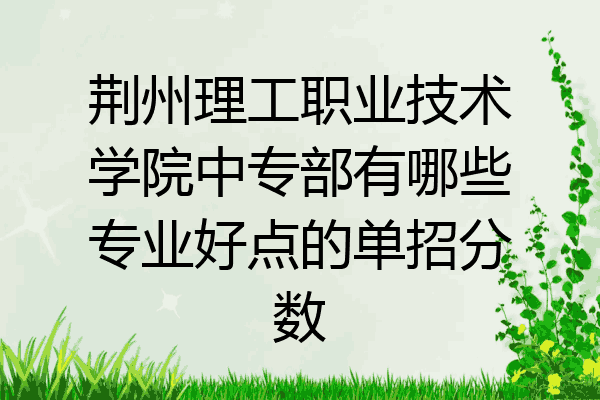 荆州理工职业技术学院中专部有哪些专业好点的单招分数