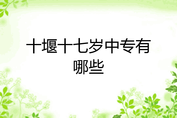 十堰十七岁中专有哪些