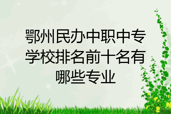 鄂州民办中职中专学校排名前十名有哪些专业