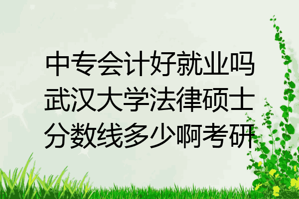中专会计好就业吗武汉大学法律硕士分数线多少啊考研