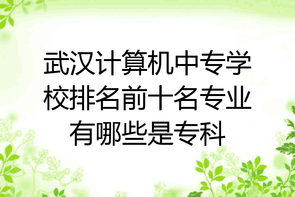 武汉计算机中专学校排名前十名专业有哪些是专科