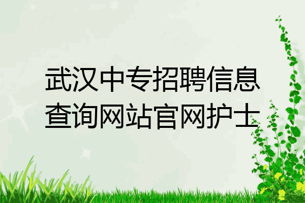 武汉中专招聘信息查询网站官网护士