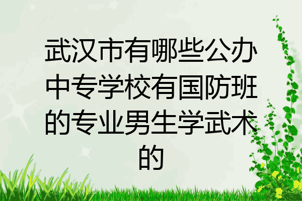 武汉市有哪些公办中专学校有国防班的专业男生学武术的