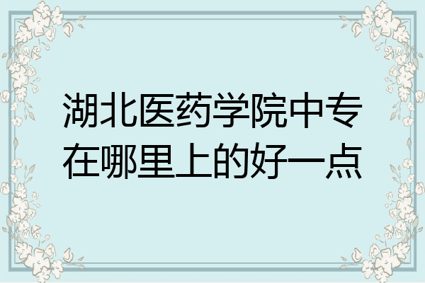 湖北医药学院中专在哪里上的好一点