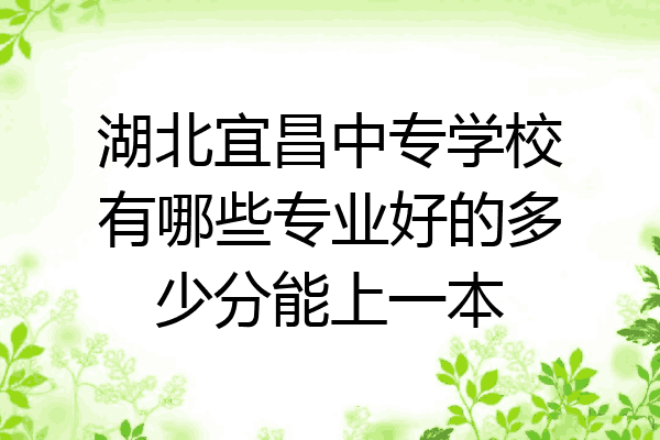湖北宜昌中专学校有哪些专业好的多少分能上一本