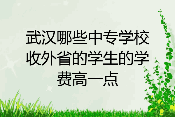 武汉哪些中专学校收外省的学生的学费高一点