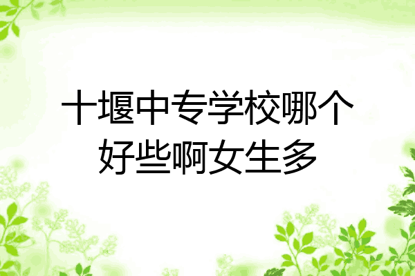 十堰中专学校哪个好些啊女生多