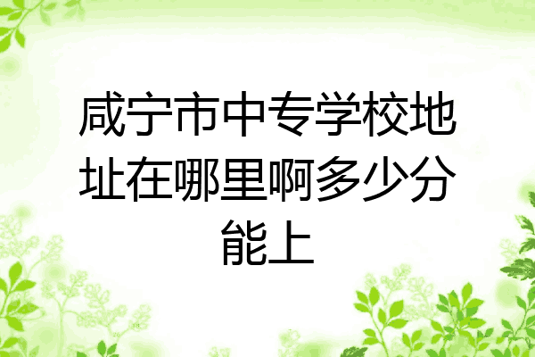 咸宁市中专学校地址在哪里啊多少分能上