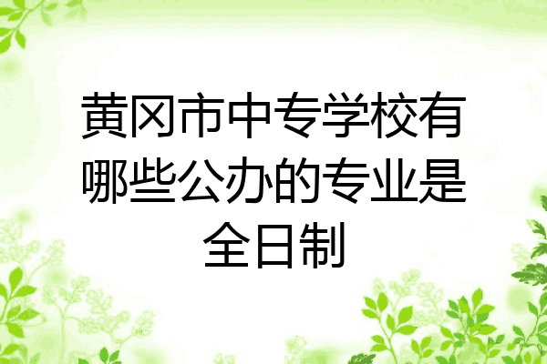 黄冈市中专学校有哪些公办的专业是全日制