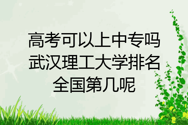 高考可以上中专吗武汉理工大学排名全国第几呢
