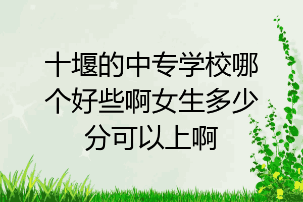 十堰的中专学校哪个好些啊女生多少分可以上啊