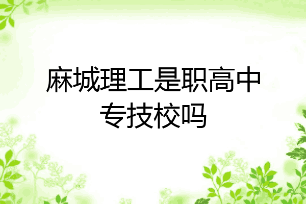 麻城理工是职高中专技校吗